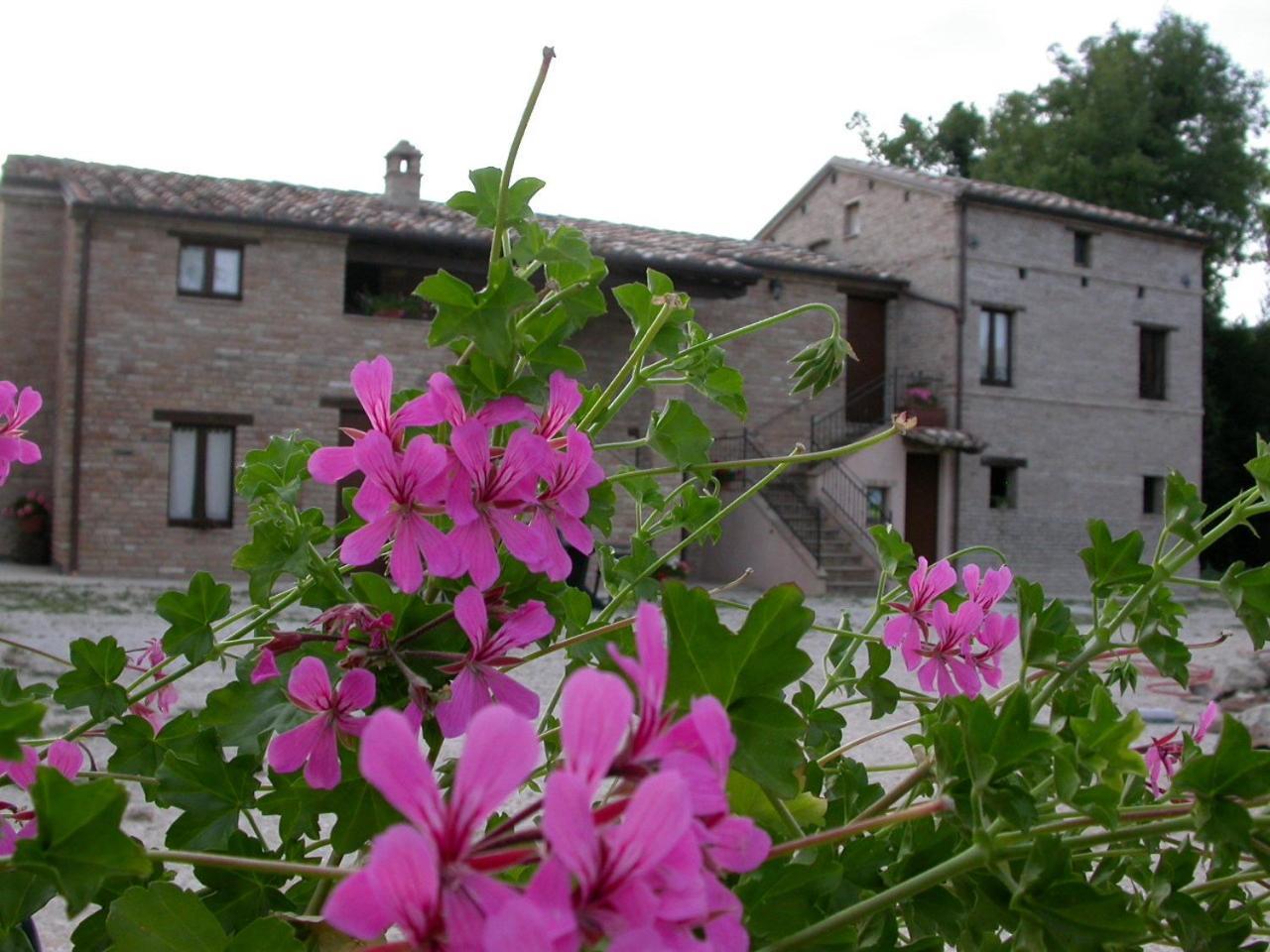 Antica Dimora Guest House Sarnano Exterior photo